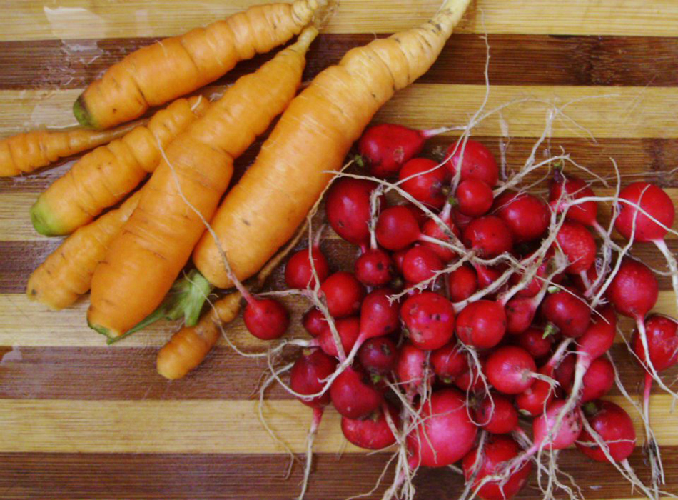 ravanelli e carote